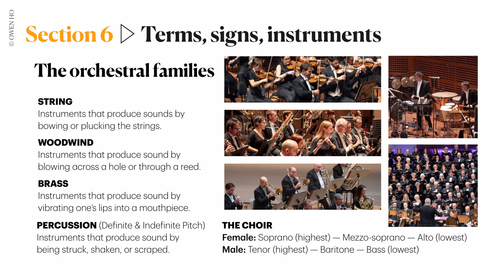 orchestral instruments